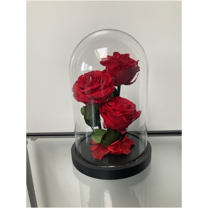 Grand dôme avec led "trio de roses"