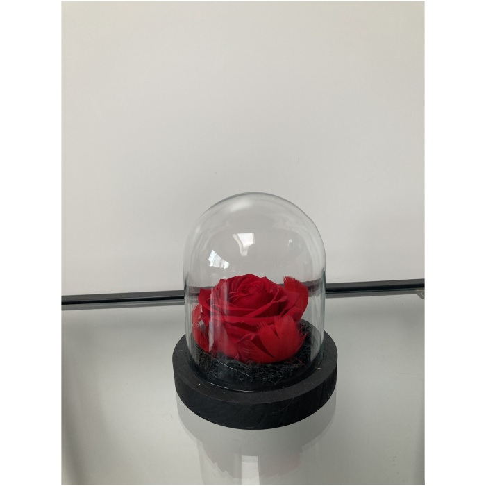 Rose unique sous dôme avec led