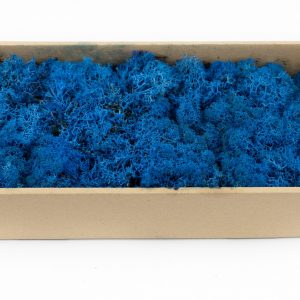 Lichen Stabilisé 500gr - Bleu