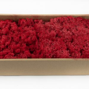 Lichen Stabilisé 500gr - Rouge