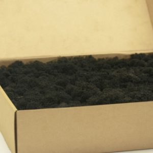 Lichens Stabilisé - Noir