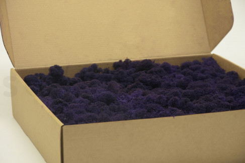 Lichens Stabilisé - Violet