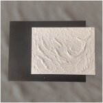 Photoroom 20250619 221314